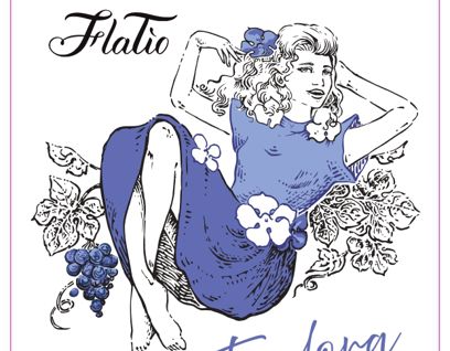 Etichetta Teodora FlaTío vino Rondinella