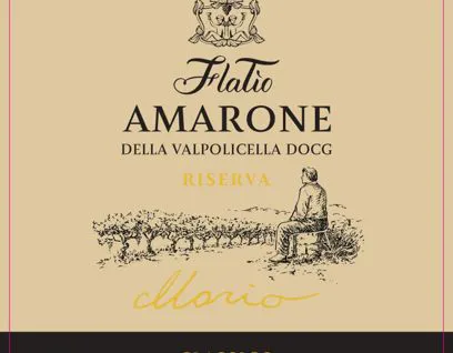 Etichetta Amarone della Valpolicella Mario FlaTío