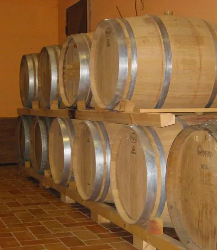 Le botti di FlaTìo Wine