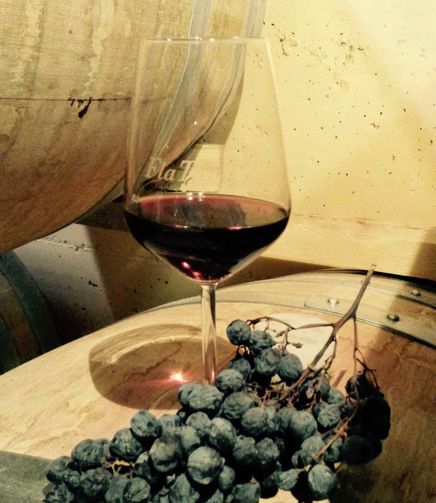 Degustazione FlaTìo Wine