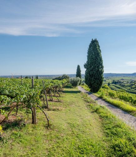 Il territorio di FlaTìo Wine