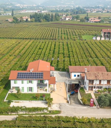 Il terroir di FlaTìo Wine