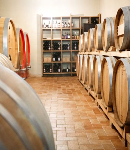 La cantina di FlaTìo Wine