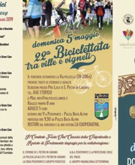 Partecipazione Festa dei vini classici della Valpolicella