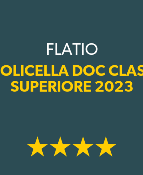 Vini Buoni d'Italia 2026 - 4 stelle al Valpolicella Classico Superiore FlaTío