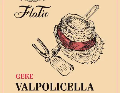 Etichetta Valpolicella Classico Superiore FlaTío