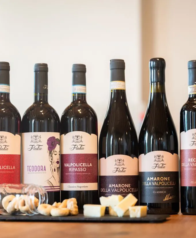 Degustazione vini in cantina FlaTío Valpolicella