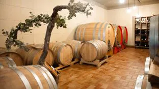 Cantina FlaTío Fraccaroli - degustazione vini