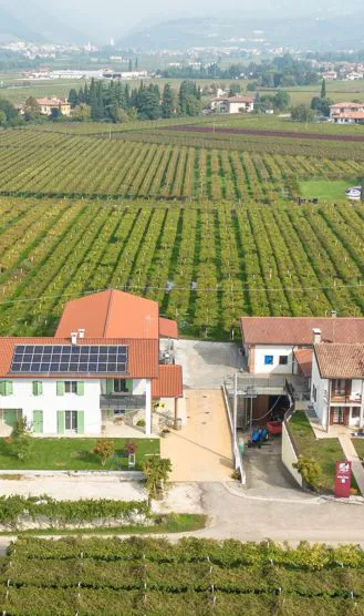 Cantina FlaTío Fraccaroli con botti di rovere per Amarone e Ripasso della Valpolicella