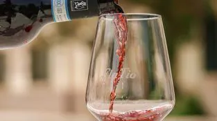 Degustazione FlaTìo Wine in Valpolicella